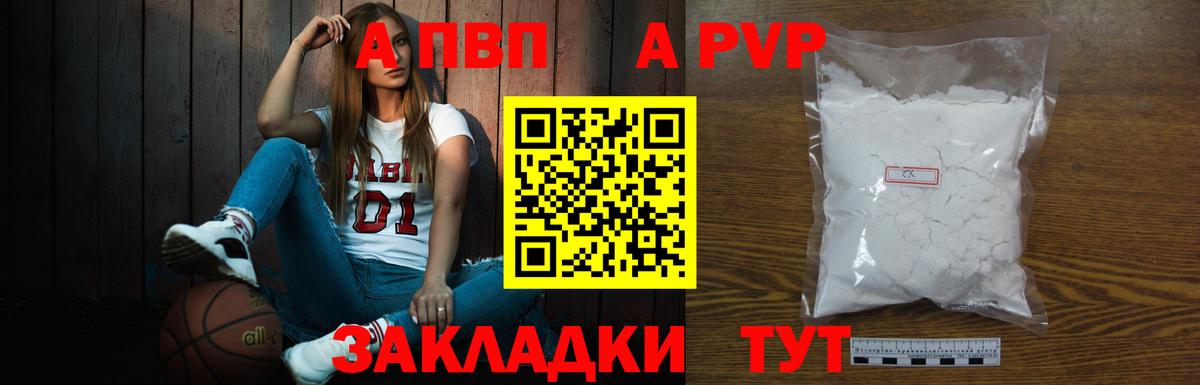 A PVP СК КРИС Пушкино