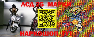 spice Новодвинск