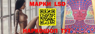 spice Новодвинск