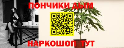 spice Новодвинск