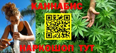 spice Новодвинск