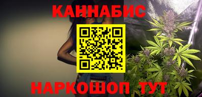 spice Новодвинск