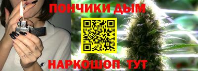 spice Новодвинск