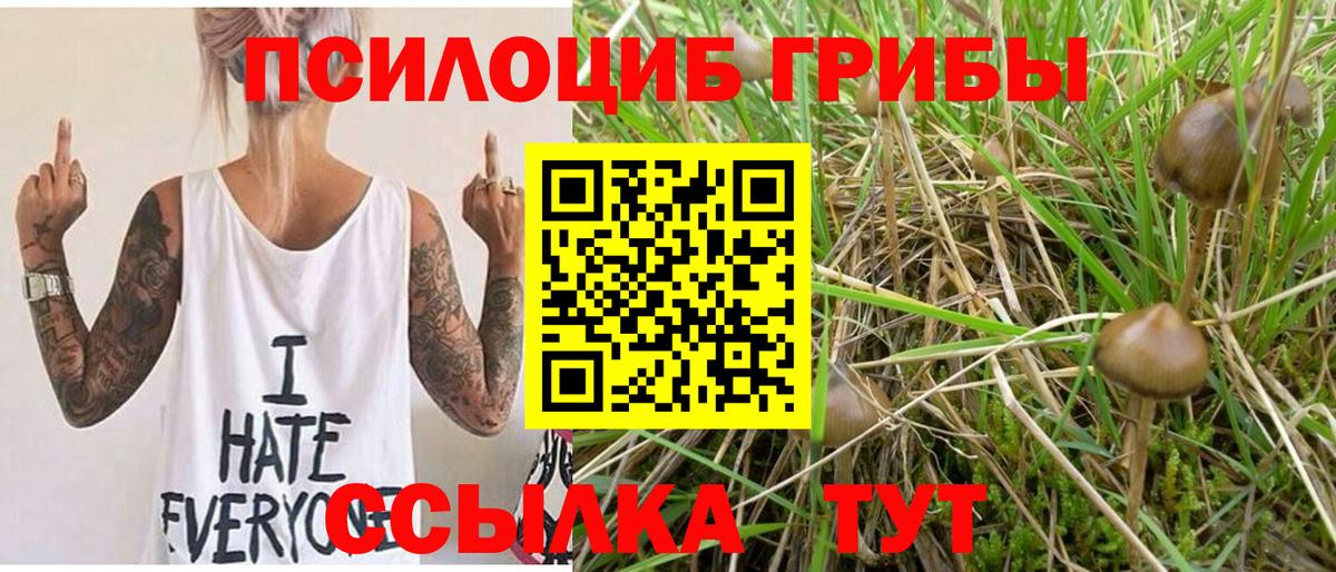 Пушкино  Псилоцибиновые грибы ЛСД  Вход с VPN 